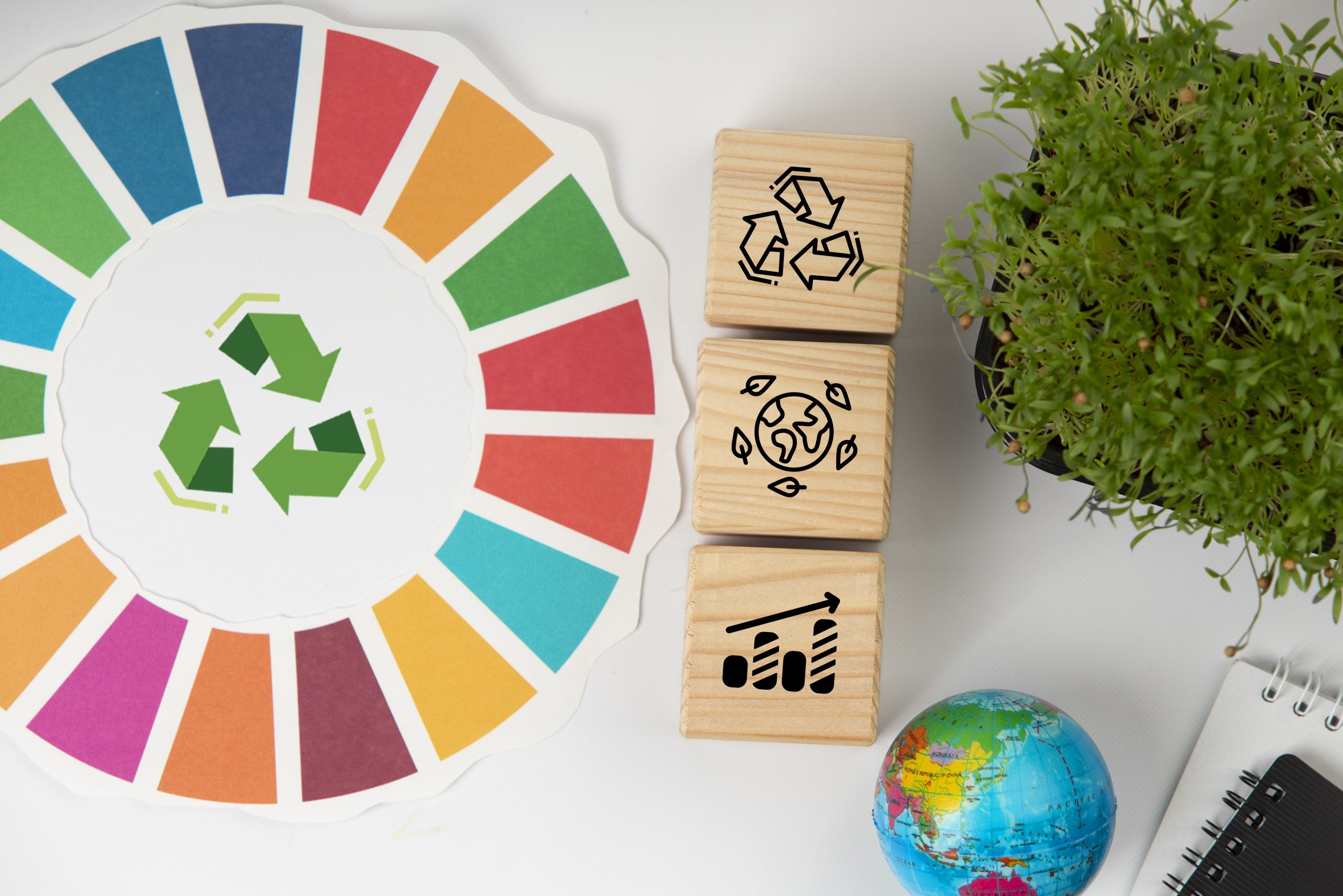 economía circular empresas