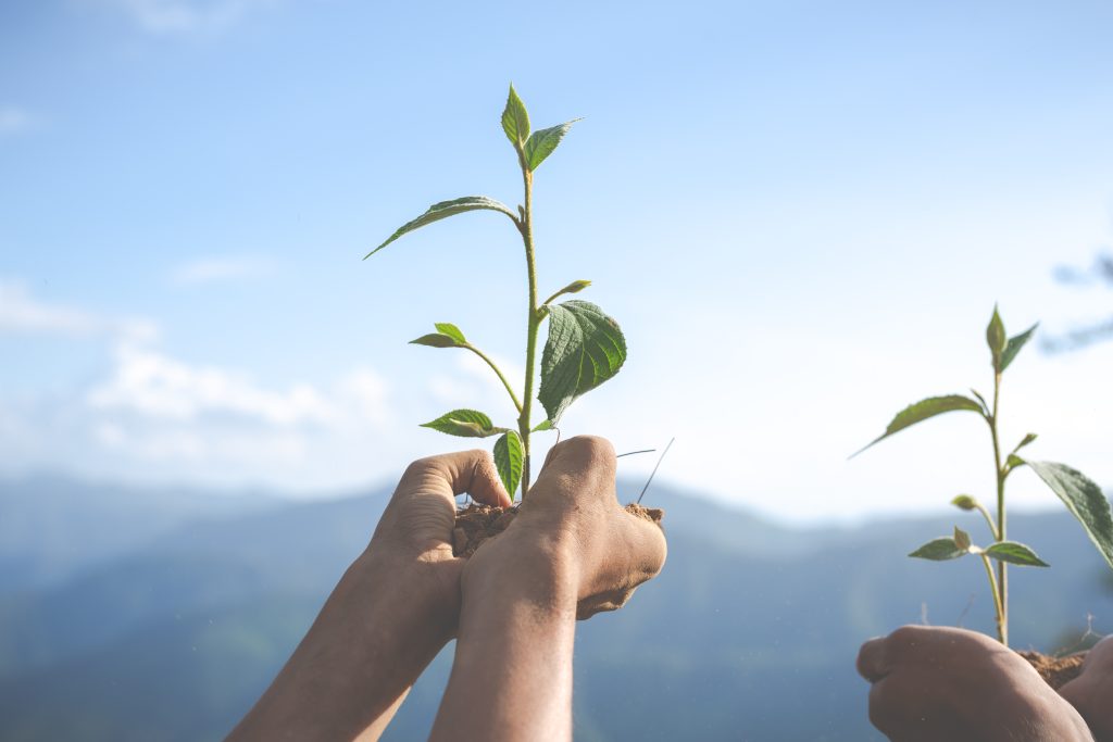 Sustentabilidad y reciclaje