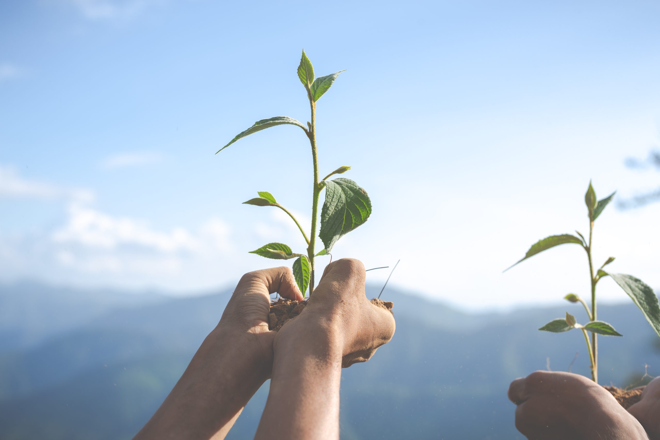 Sustentabilidad y reciclaje